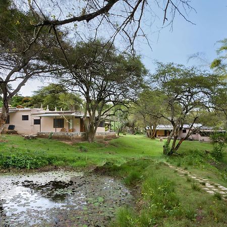 Jungle Hut Hotel Masinagudi Exterior photo