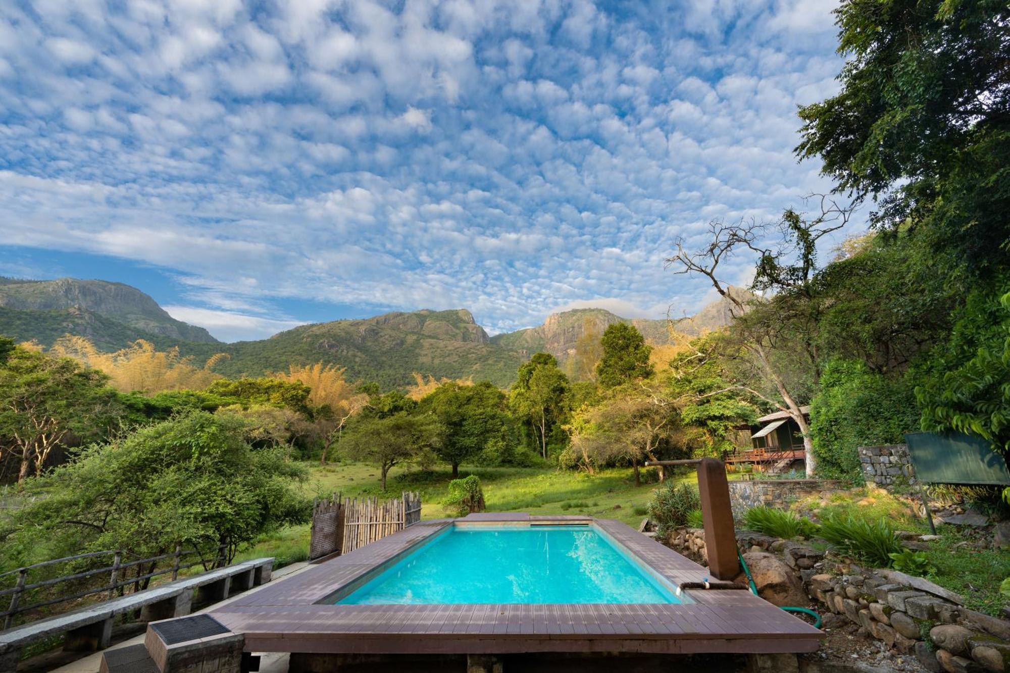 Jungle Hut Hotel Masinagudi Exterior photo