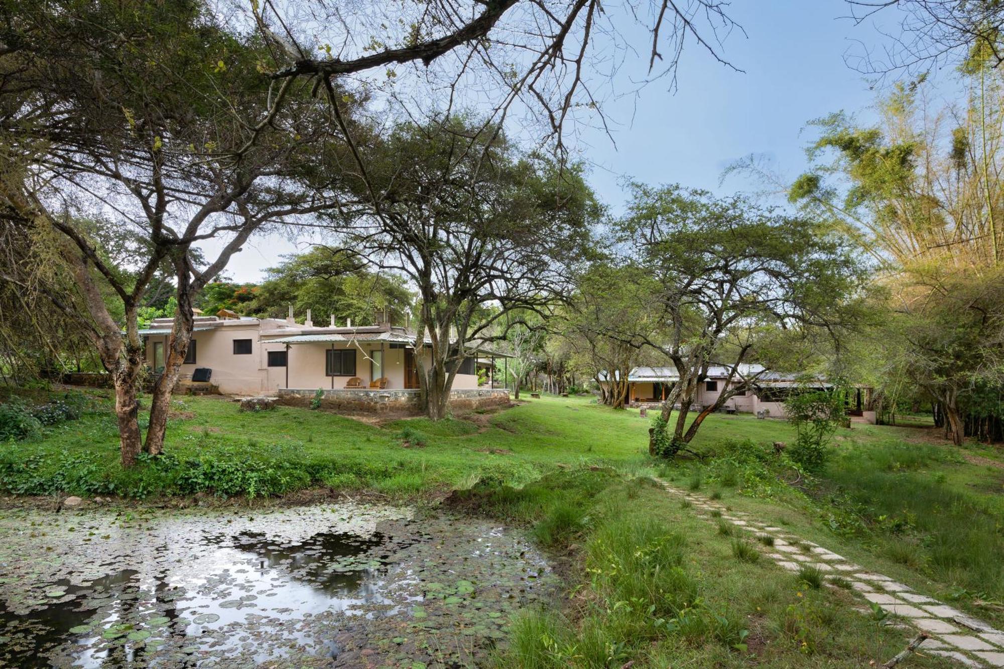 Jungle Hut Hotel Masinagudi Exterior photo