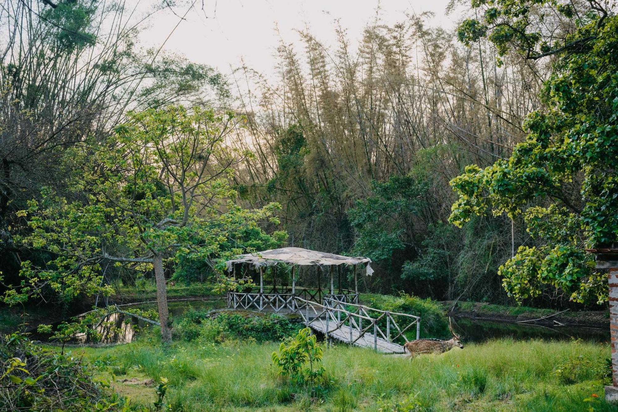 Jungle Hut Hotel Masinagudi Exterior photo